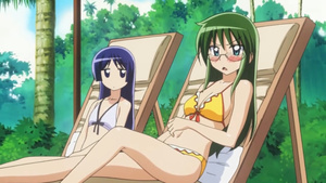 Hayate no Gotoku!!: Atsu ga Natsuize - Mizugi-hen!